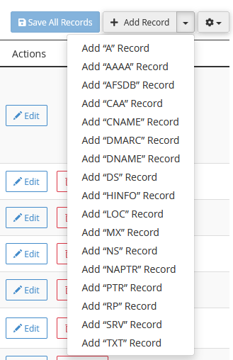 WHM DNS Add SRV Record